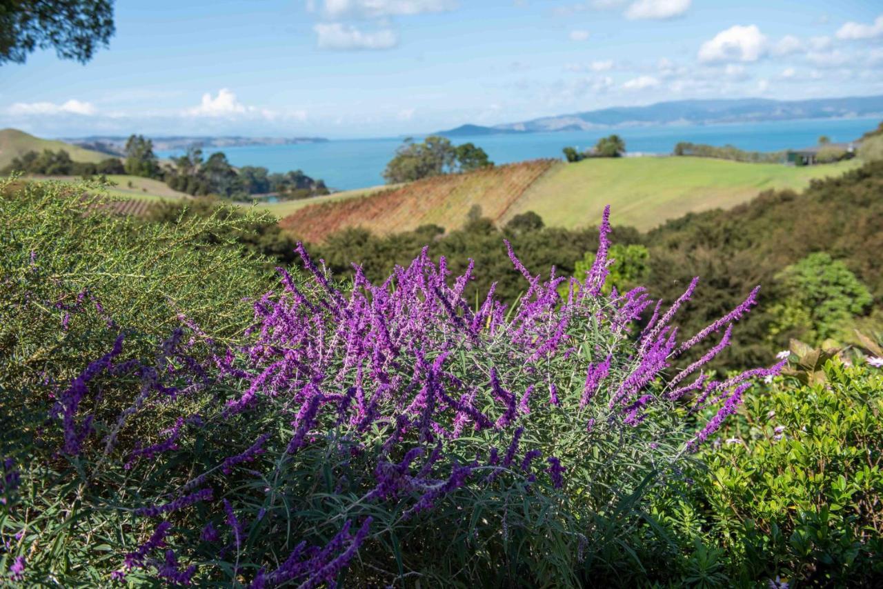 Waiheke Luxury Blue And Green Rooms Ostend Екстер'єр фото